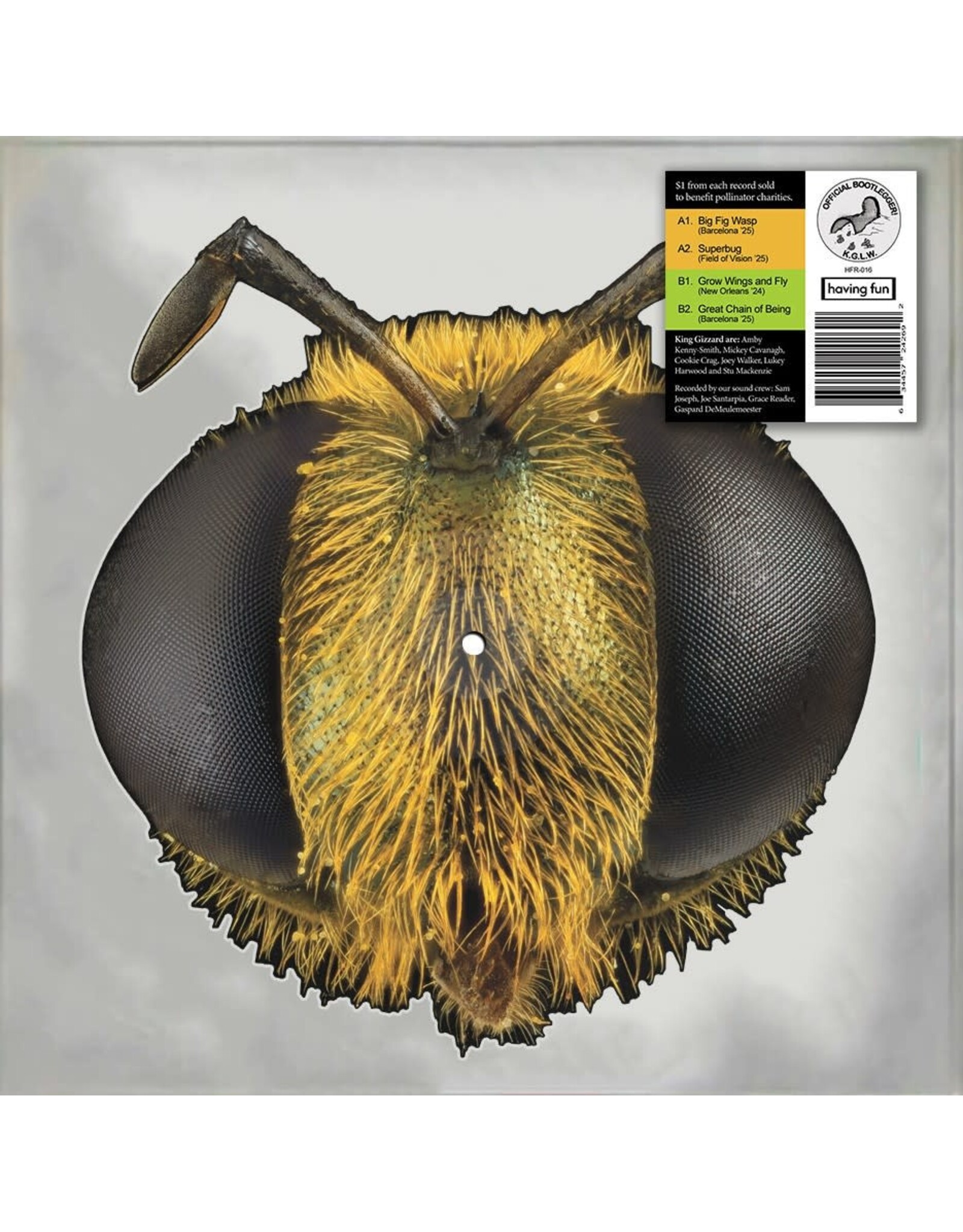 King Gizzard & The Lizard Wizard - Big Fig Wasp (Record Store Day) [Bee Picture Disc Vinyl]