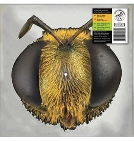 King Gizzard & The Lizard Wizard - Big Fig Wasp (Record Store Day) [Bee Picture Disc Vinyl]