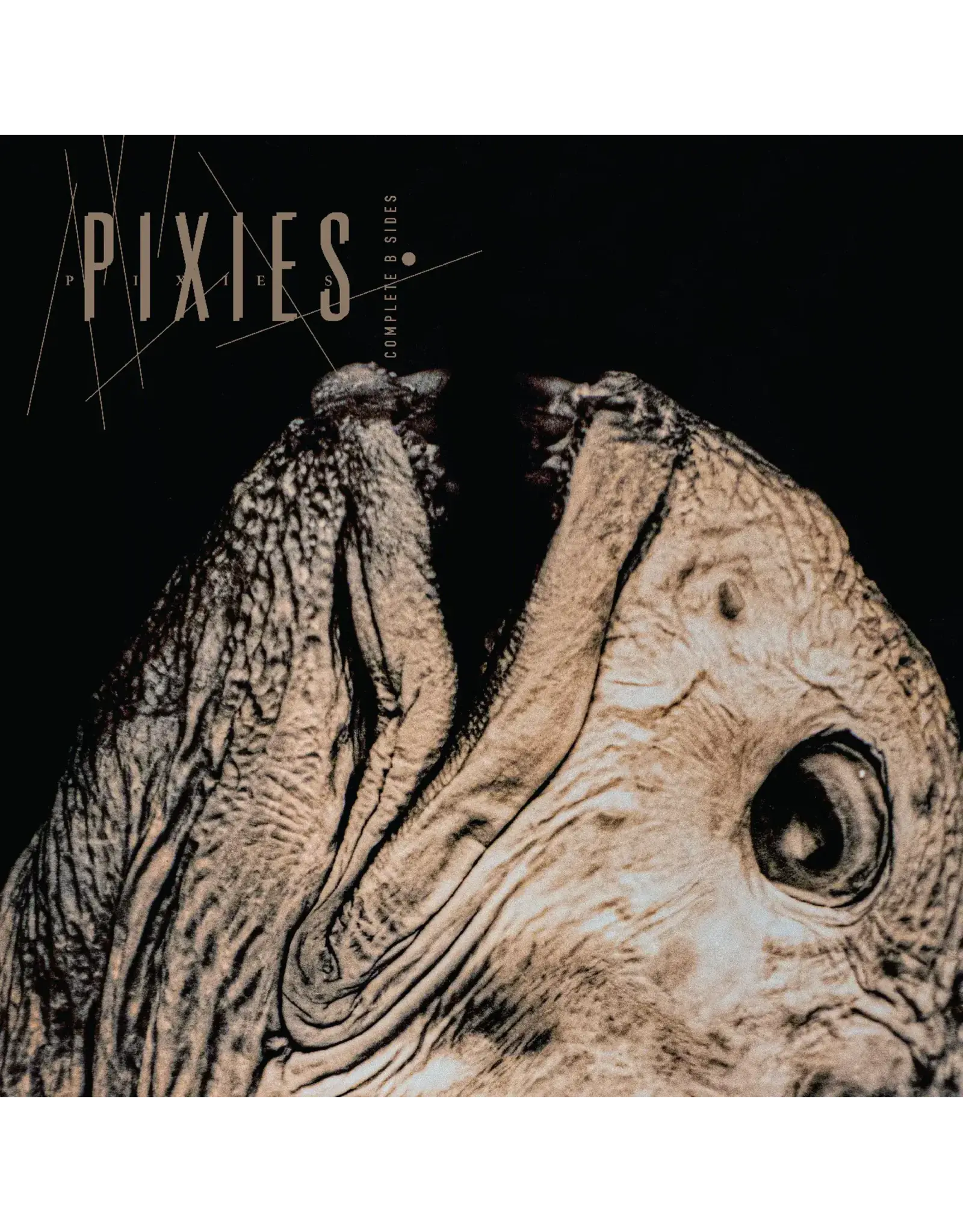 Pixies - Complete B-Sides: 1988-97 (Expanded Edition) [Exclusive Clear Vinyl]