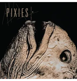 Pixies - Complete B-Sides: 1988-97 (Expanded Edition) [2026 Remaster]