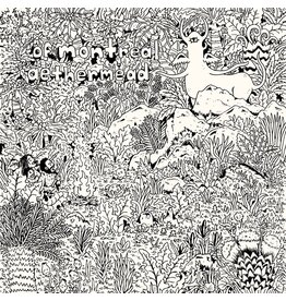 Of Montreal - Aethermead (Clear Vinyl)