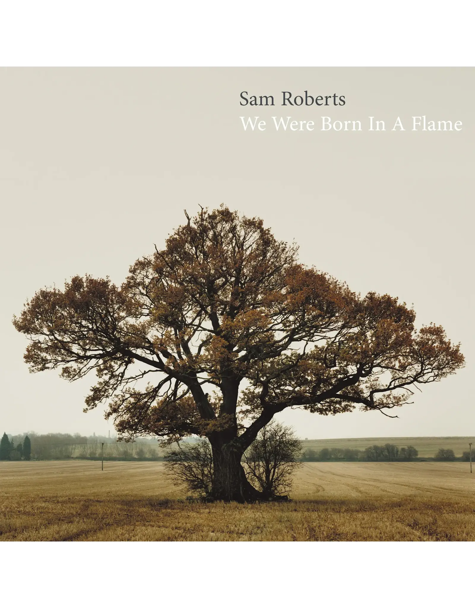 Sam Roberts - We Were Born In a Flame