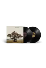 Sam Roberts - We Were Born In a Flame