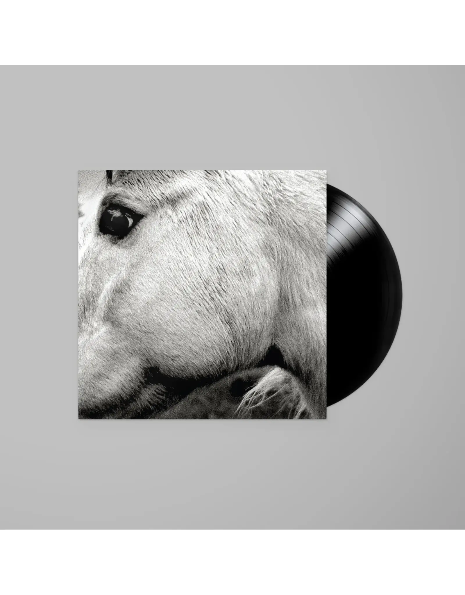 Bonny Light Horseman - Bonny Light Horseman