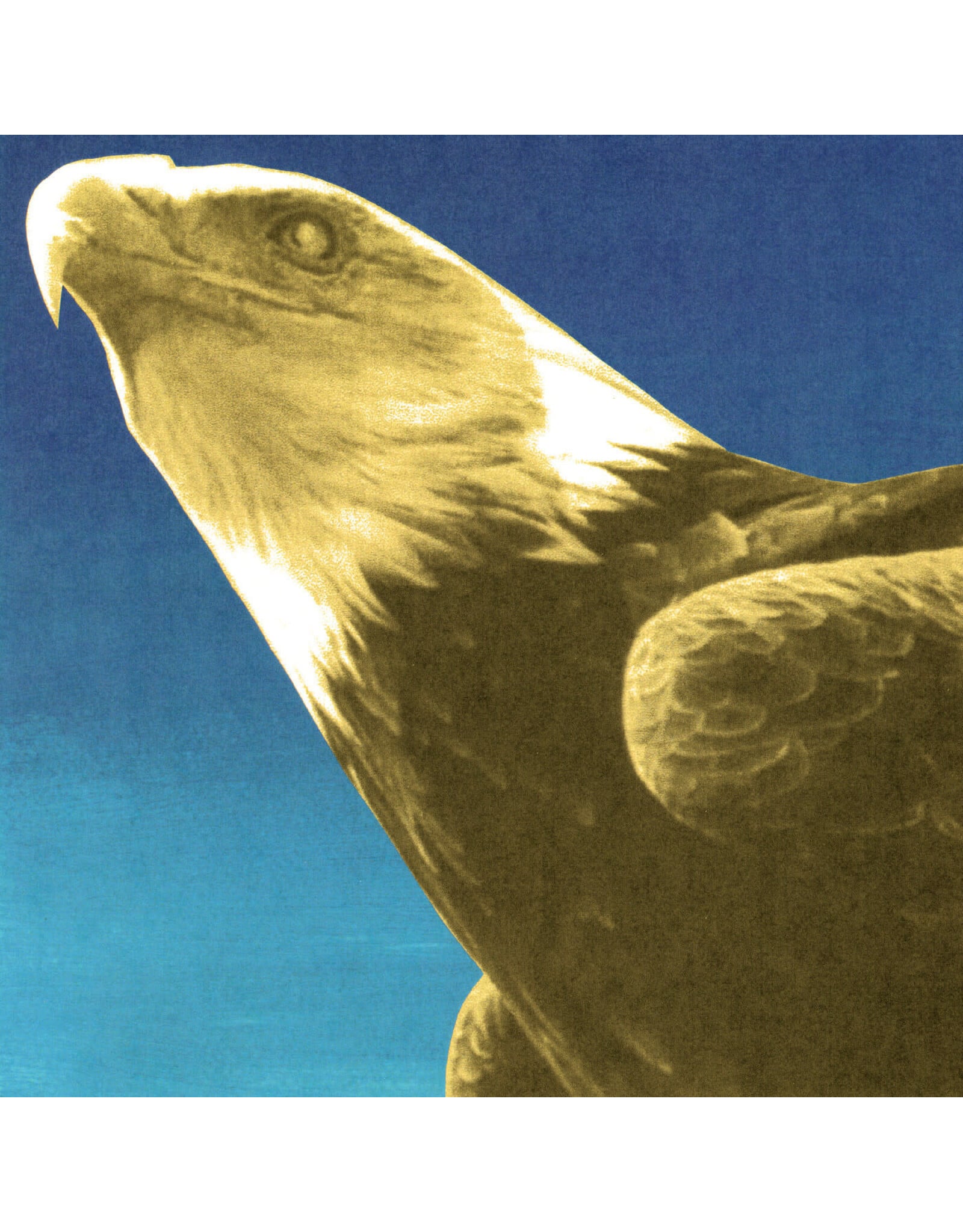 Protomartyr - Hotel Usona (Exclusive Gold Vinyl)