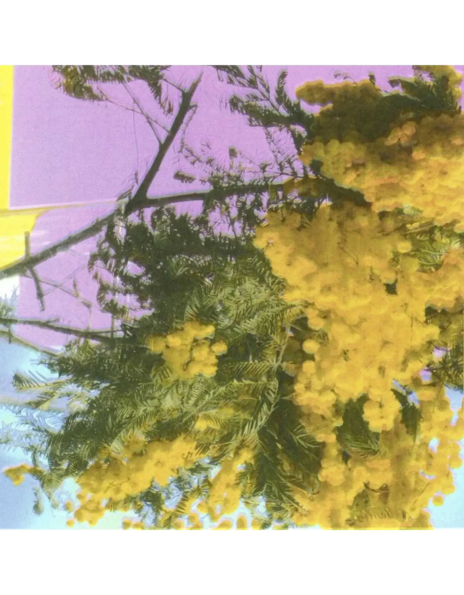 Four Tet - Into Dust (12" Single)
