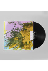 Four Tet - Into Dust (12" Single)