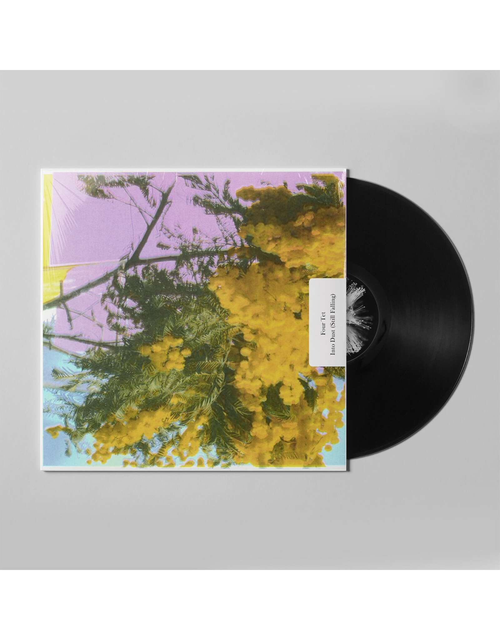 Four Tet - Into Dust (12" Single)