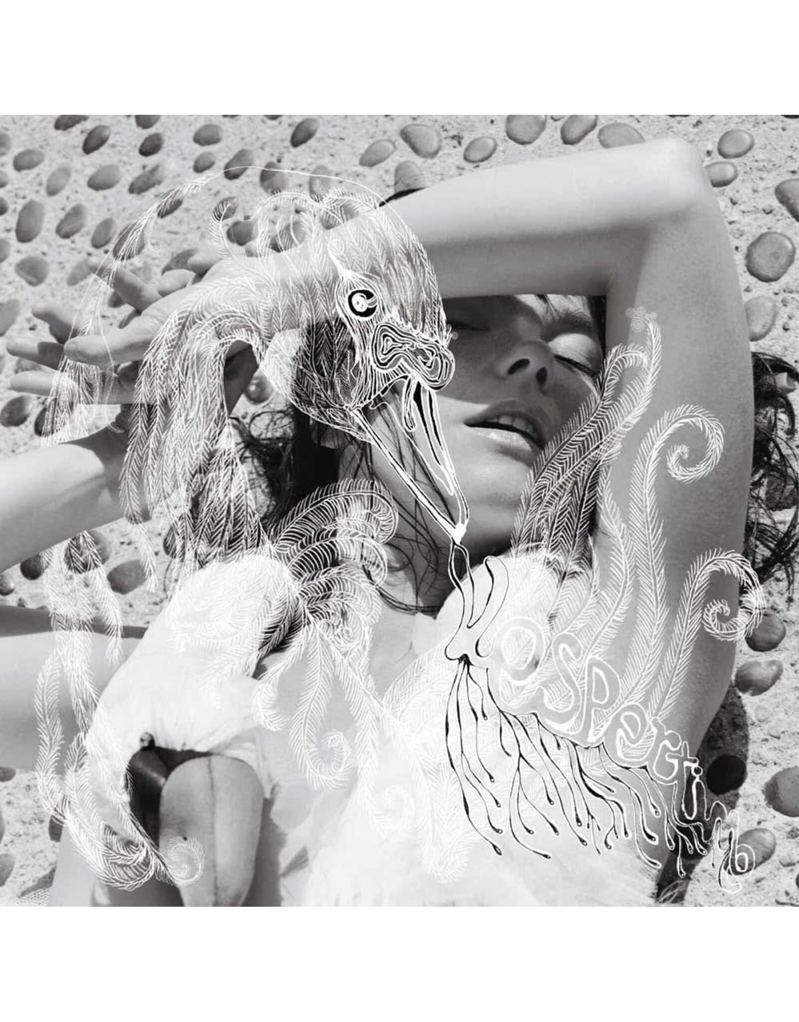 Bjork - Vespertine (Vinyl)