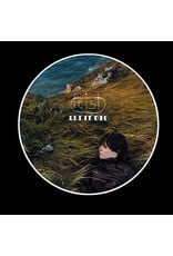 Feist - Let It Die