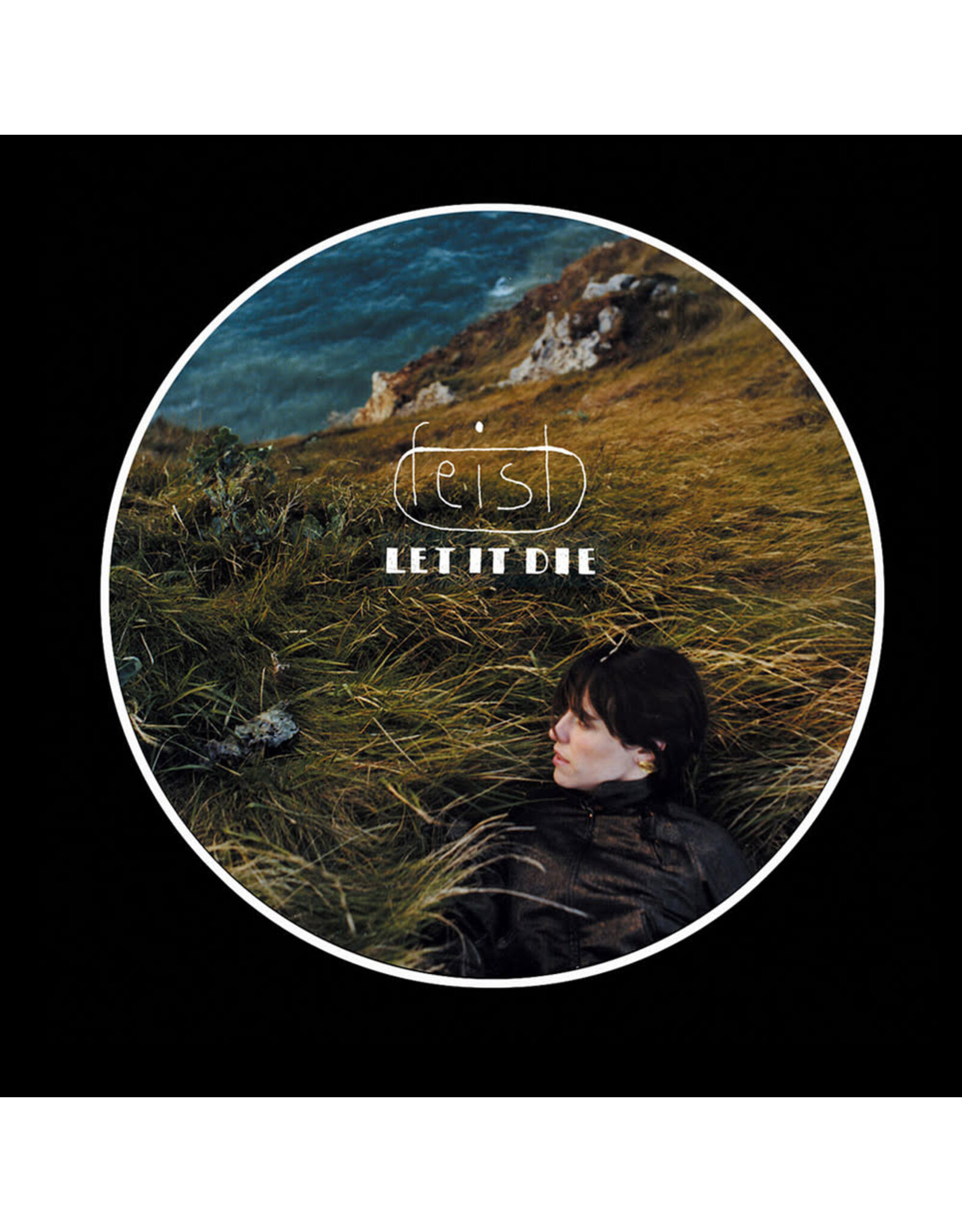 Feist - Let It Die