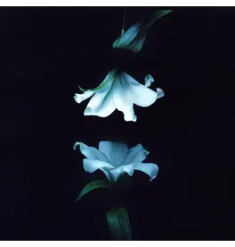Wasia Project - Nocturne (Exclusive Blue Vinyl)