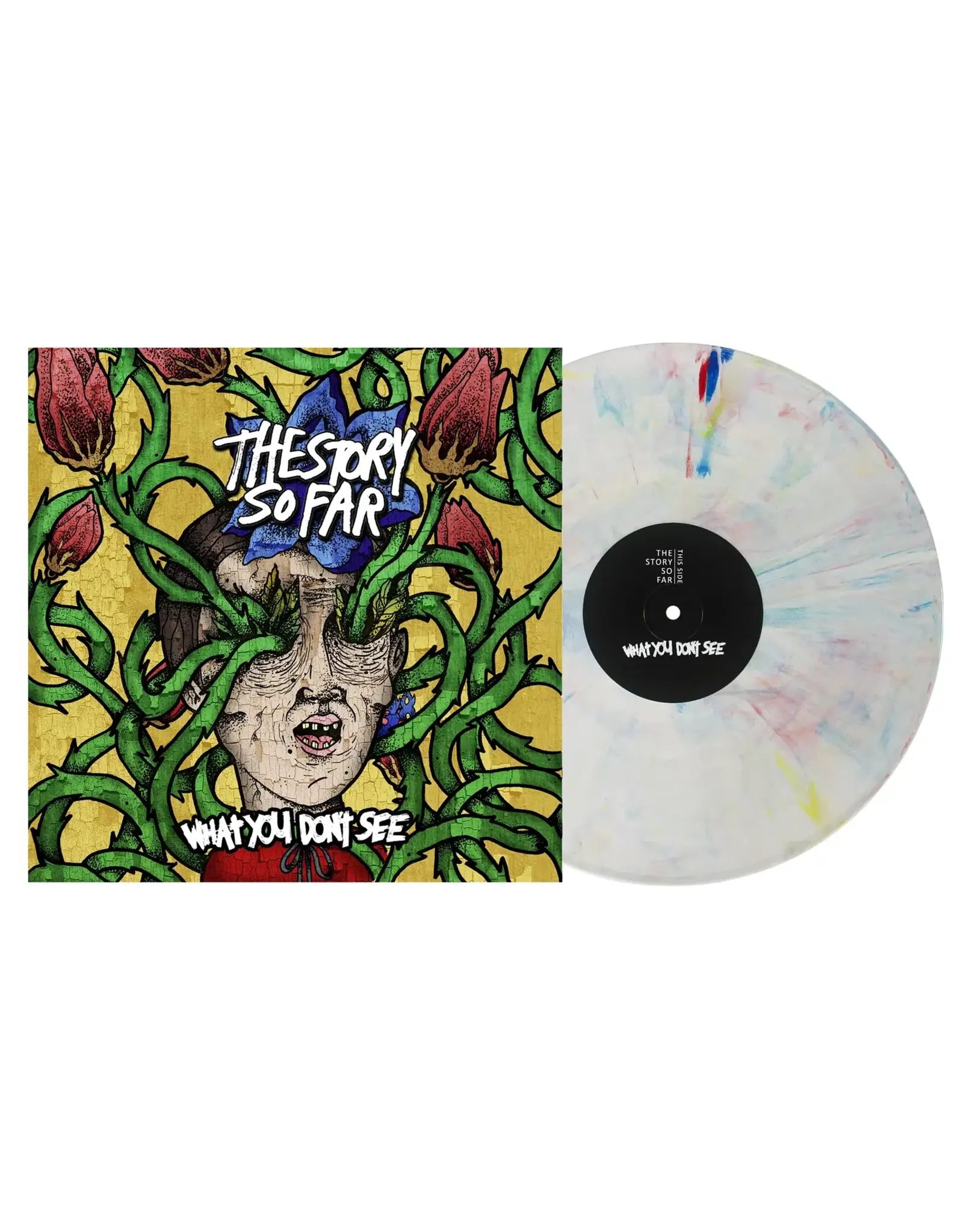 The Story So Far - What You Don't See (Crayon Marble Vinyl)