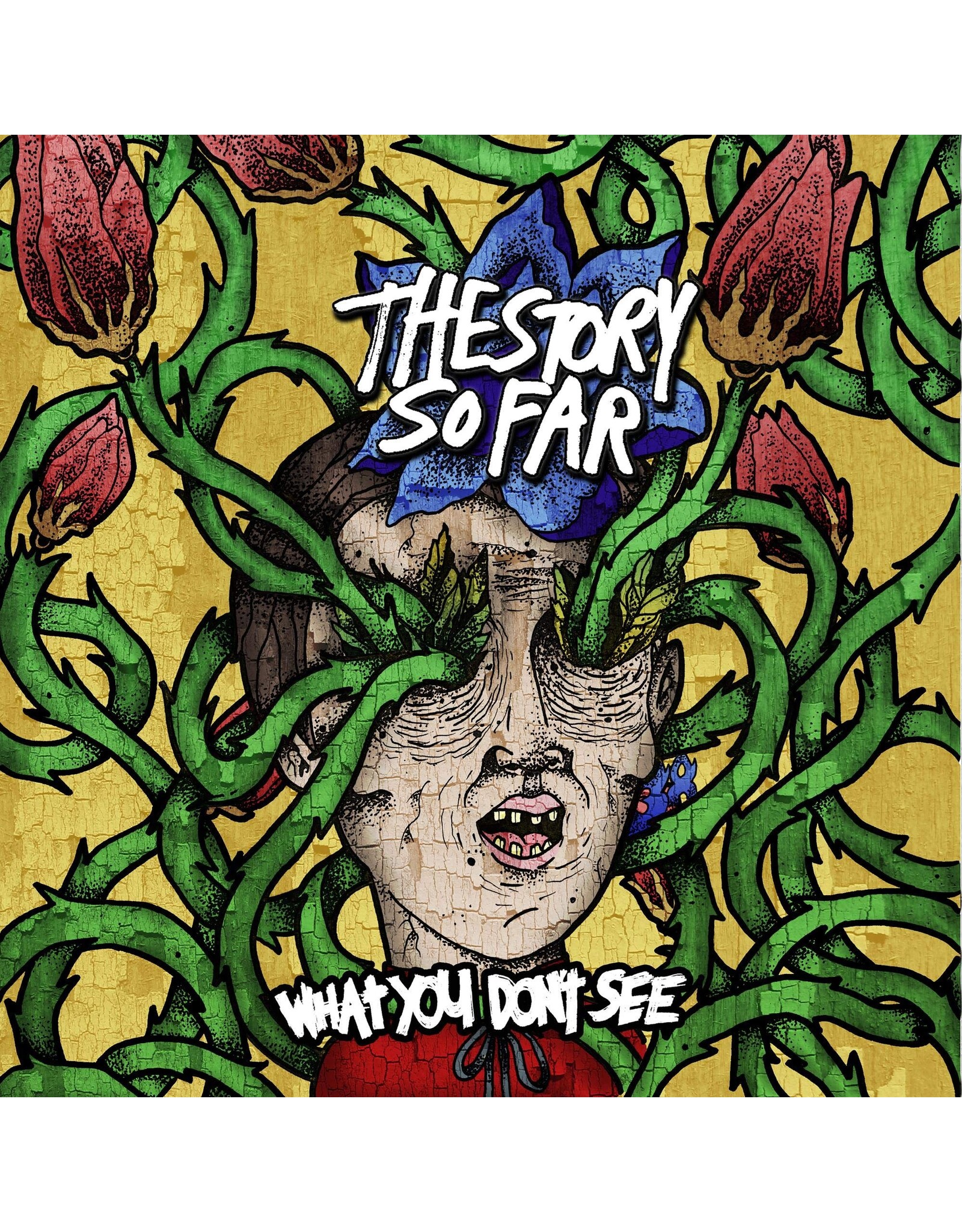 The Story So Far - What You Don't See (Crayon Marble Vinyl)