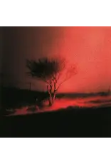 Joji - Piss In The Wind