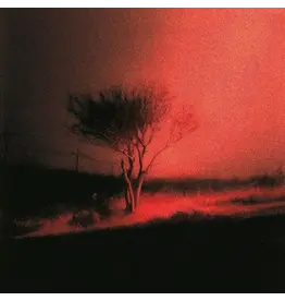 Joji - Piss In The Wind