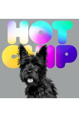 Hot Chip - A Long Way From Kansas (Vinyl)