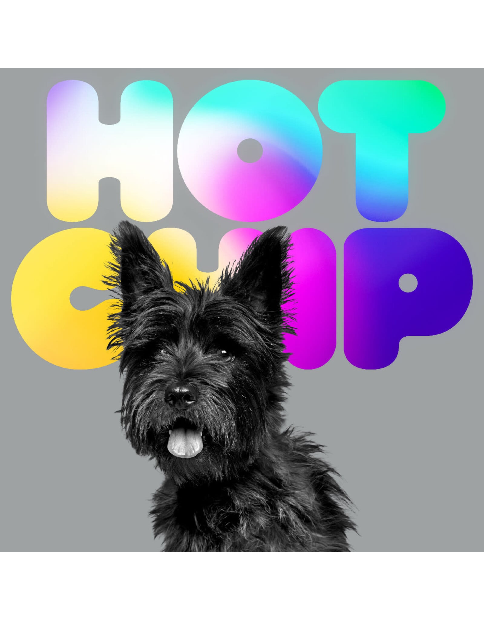 Hot Chip - A Long Way From Kansas (Vinyl)