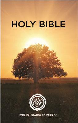 book of sophia jesus book of sophia jesus