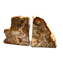 Petrified wood (stone) bookends