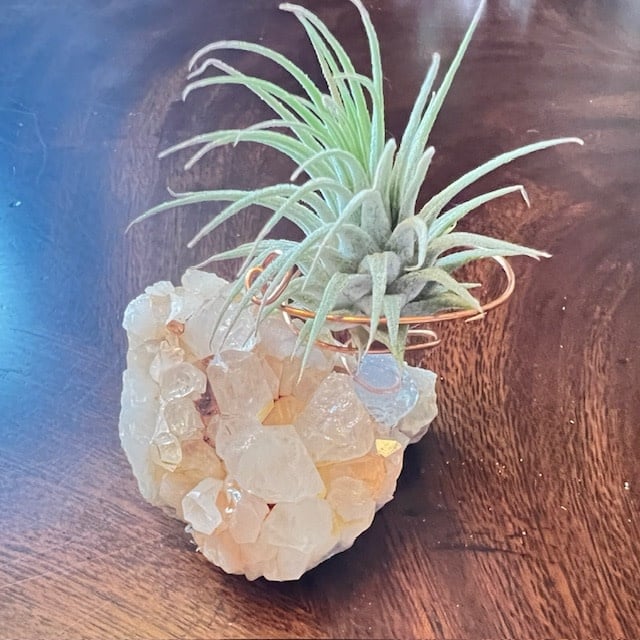 Arkansas Quartz Crystal w/Air Plant - Live Succulent