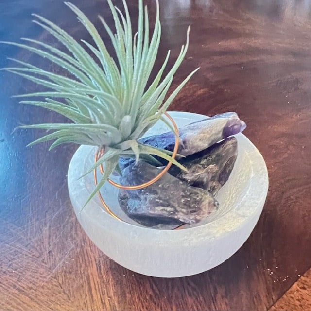 Selenite 3" bowl/3 Amethysts w/air plant - Live Succulent