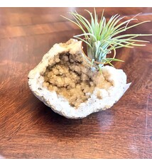 Quartz Geode - Keokuk Geode from St. Louis Mo