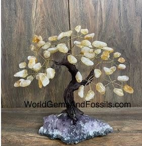 Citrine Gem tree on Amethyst Base