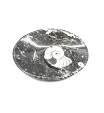 Fossil Ammonite stone bowl 4 3/4"