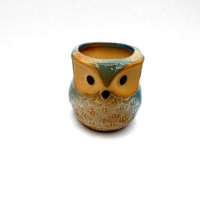 Owl Mini Pot