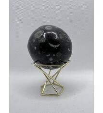 Fossil Stone Sphere - embedded fossils 2"-2.5"