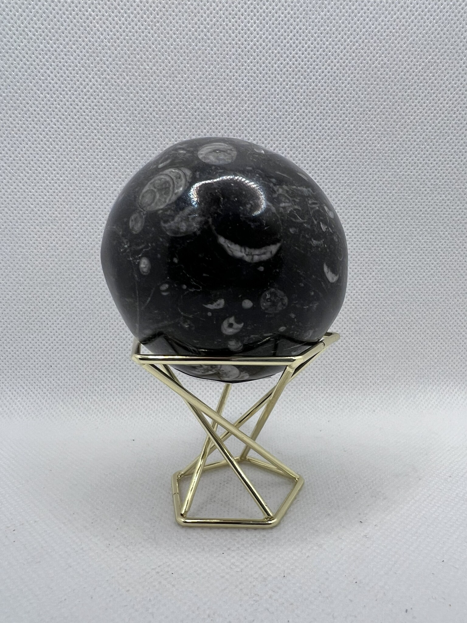 Fossil Stone Sphere - embedded fossils 2"-2.5"