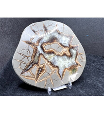 Septarian Nodule from Delta County, Utah (cross section)