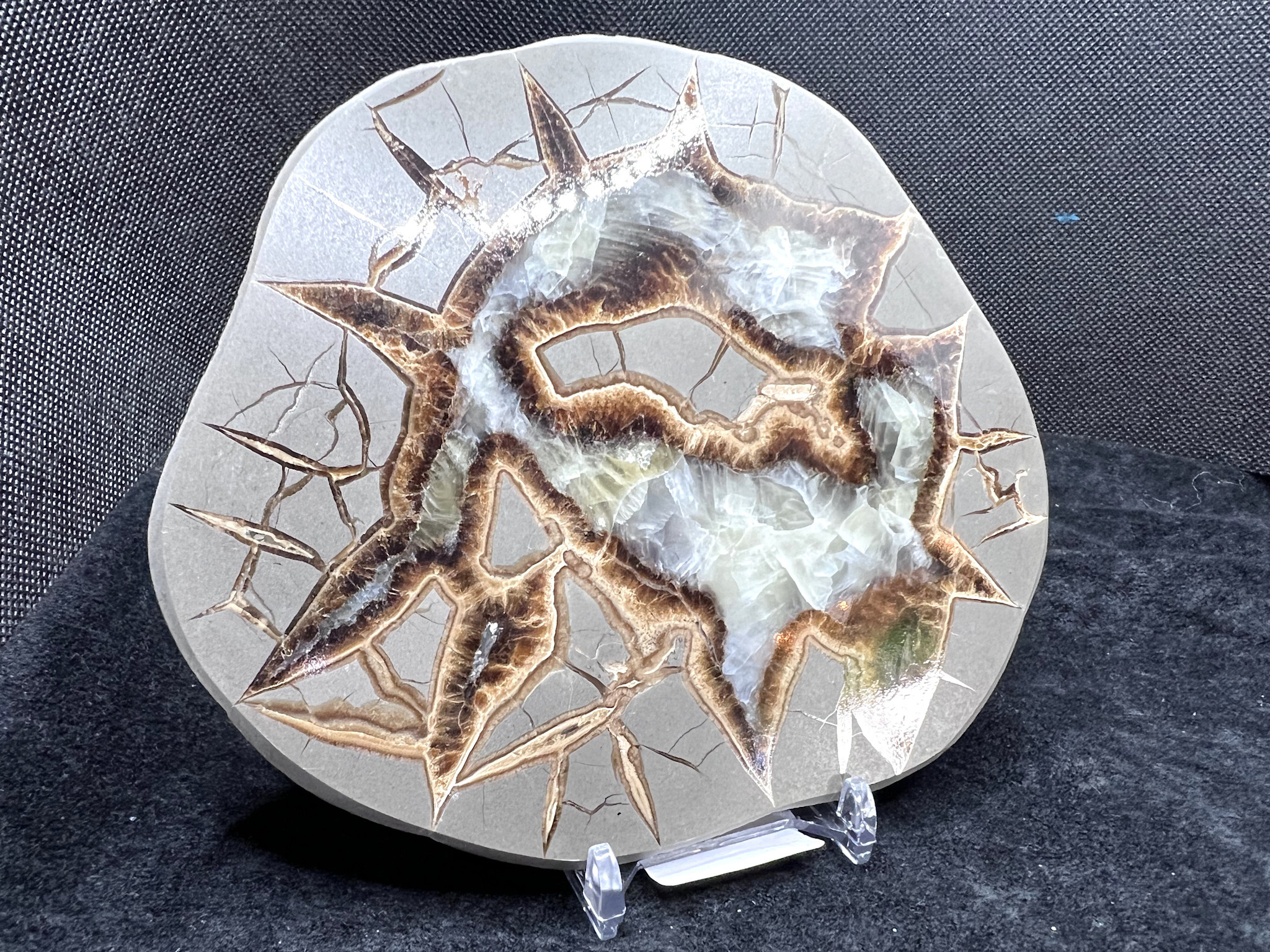 Septarian Nodule from Delta County, Utah (cross section)