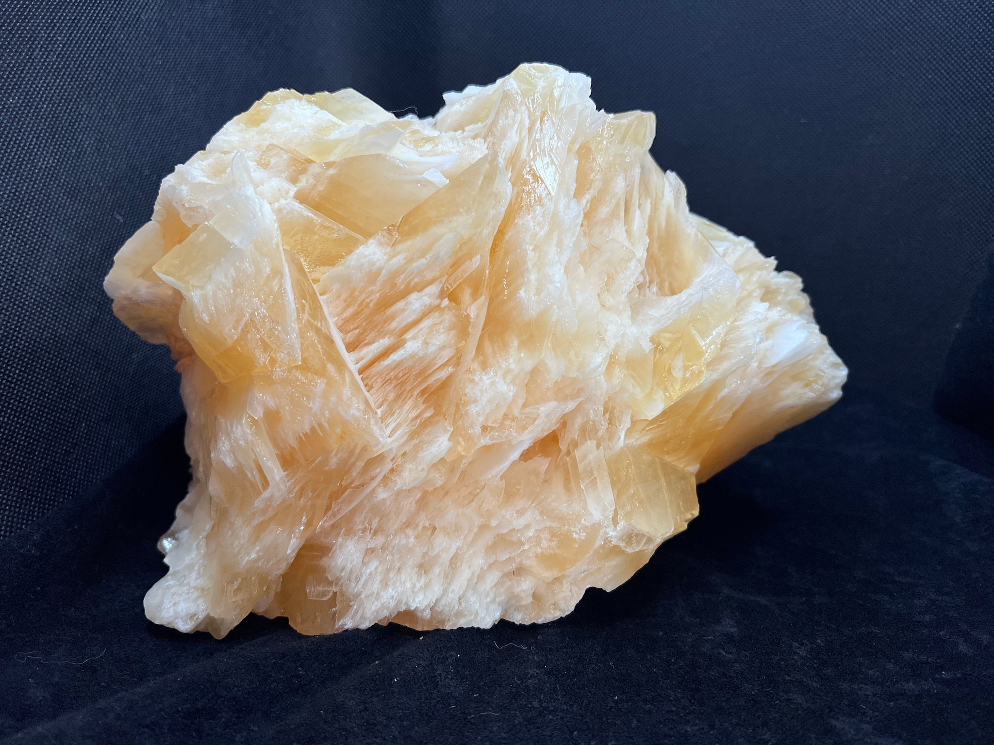 Golden Angel Wing Calcite
