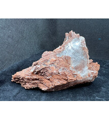 Golden Brown Selenite Specimen from Naica, Mexico