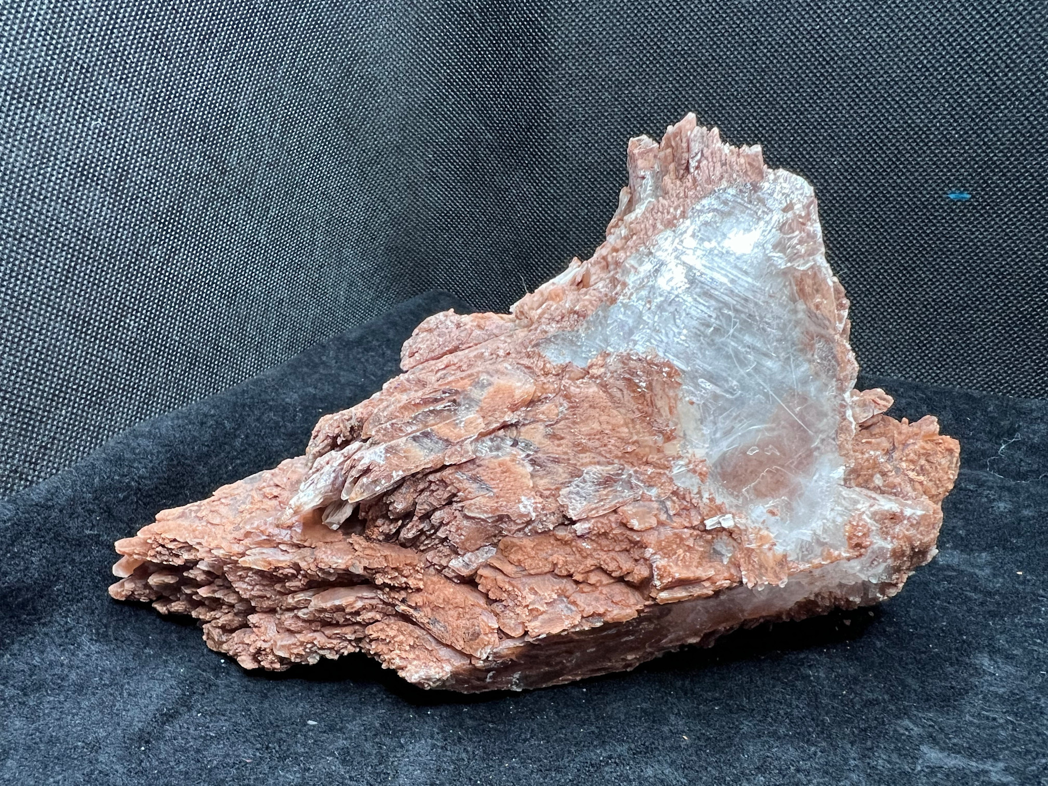 Golden Brown Selenite Specimen from Naica, Mexico