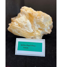 Golden Angel Wing Calcite