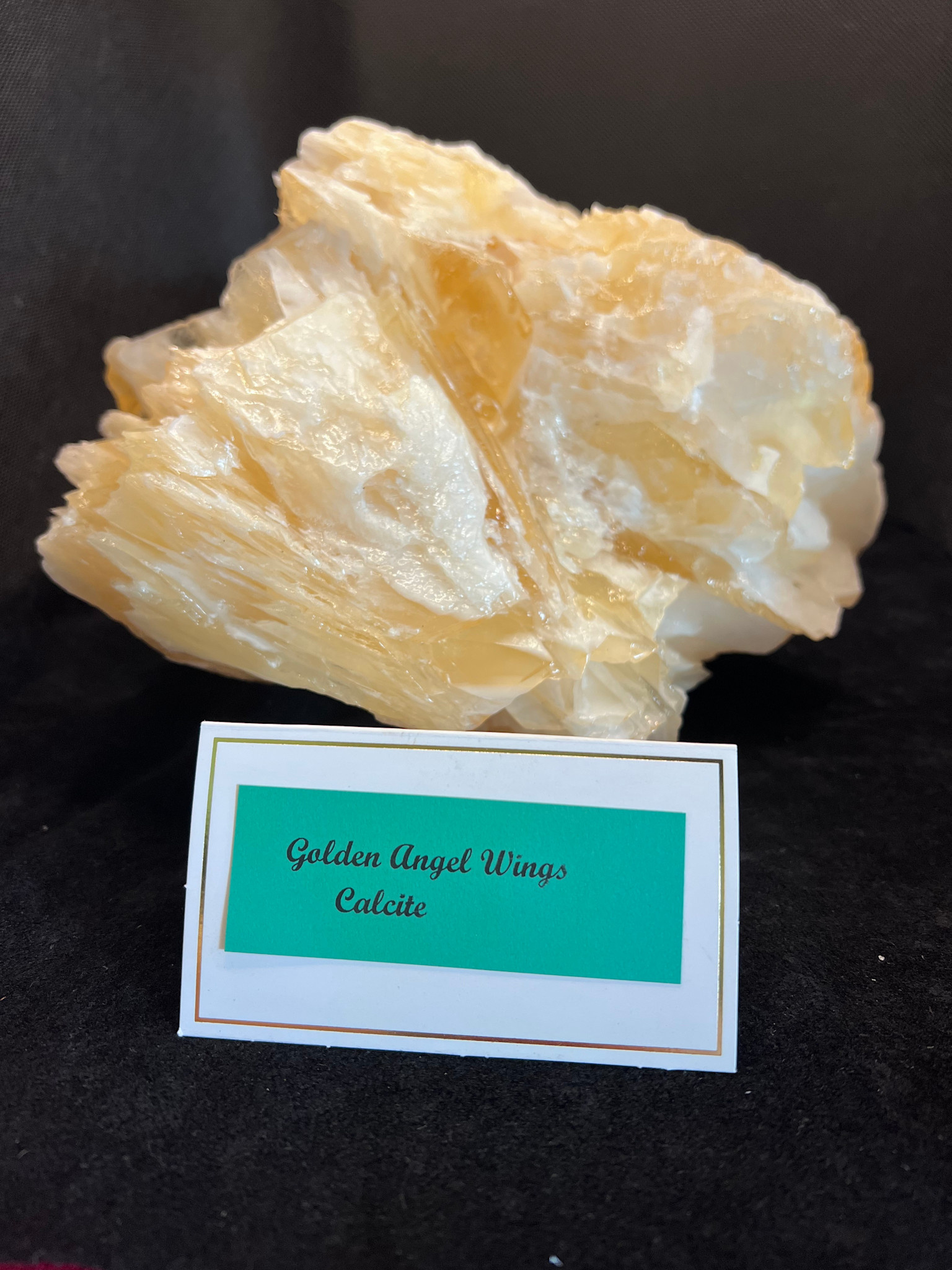 Golden Angel Wing Calcite