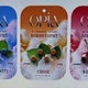 OPiA - 7-Hydroxymitragynine 4 Chewable Tablets 150mg each