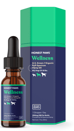 Honest Paws Wellness Level 2 - Dogs