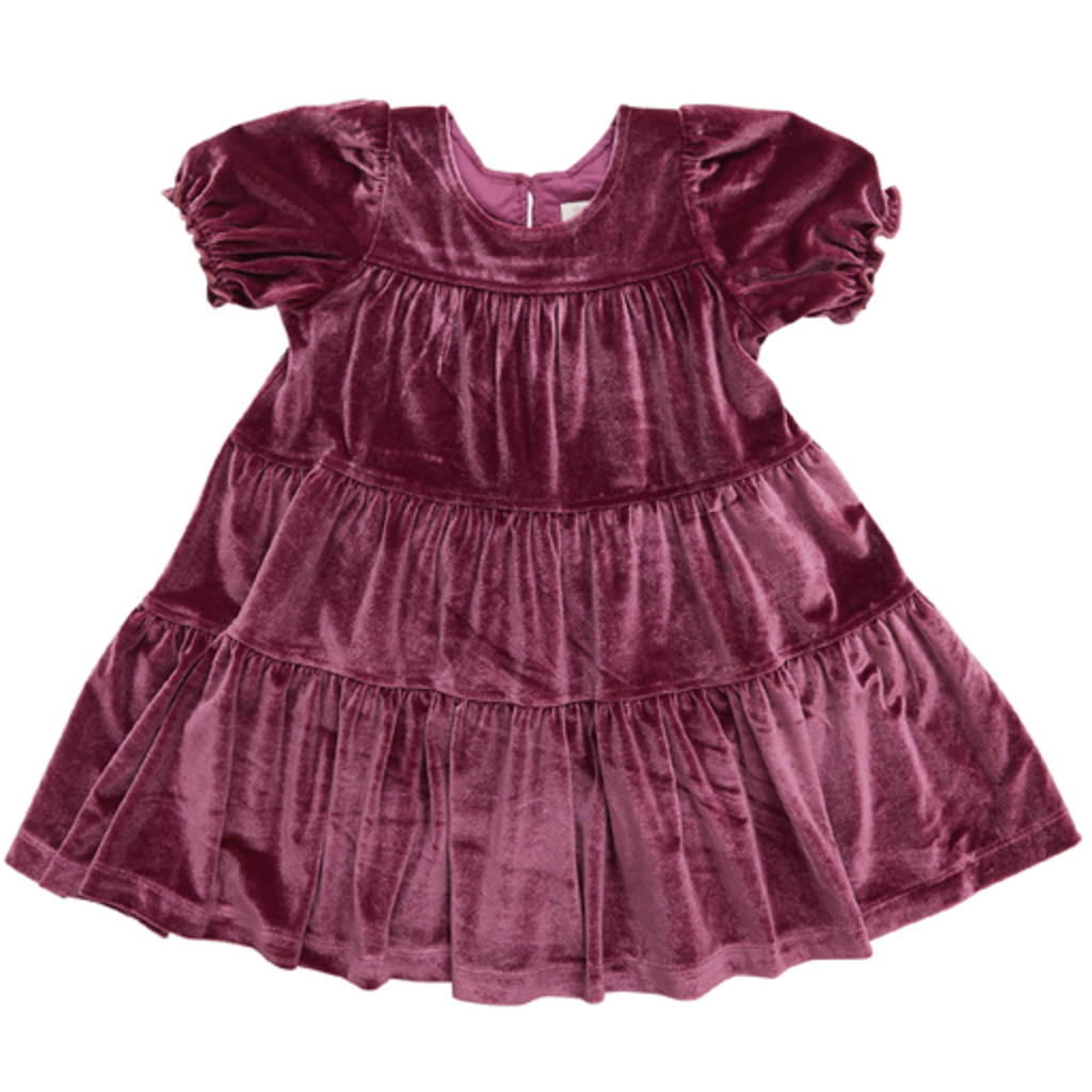 Pink Chicken Girls Velour Elizabeth Dress