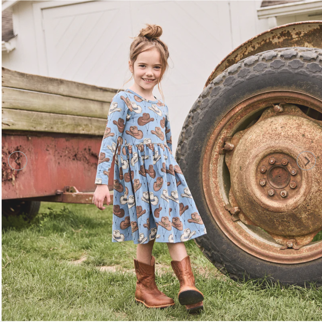 Pink Chicken Girls Steph Dress