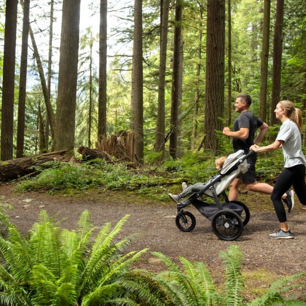 Uppababy Ridge Stroller
