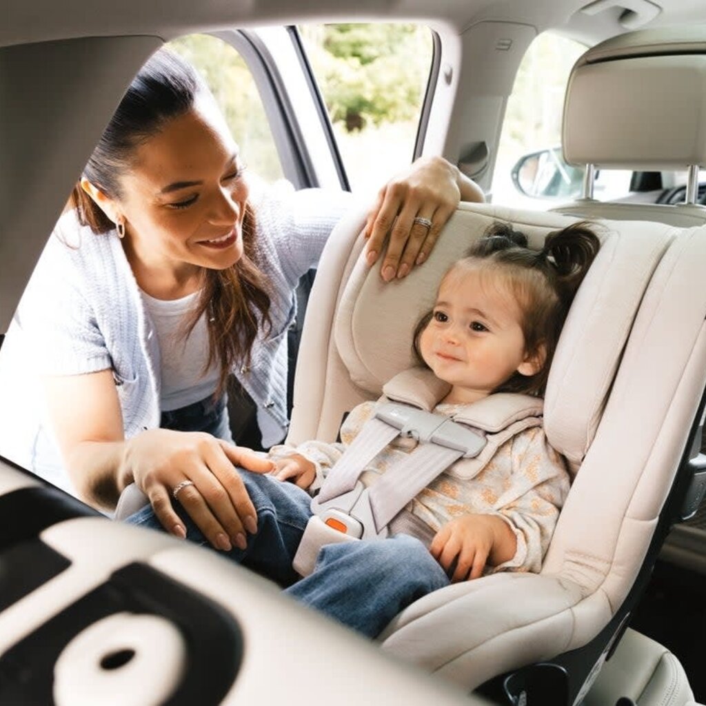 Uppababy Rove Carseat