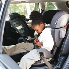Uppababy Rove Carseat