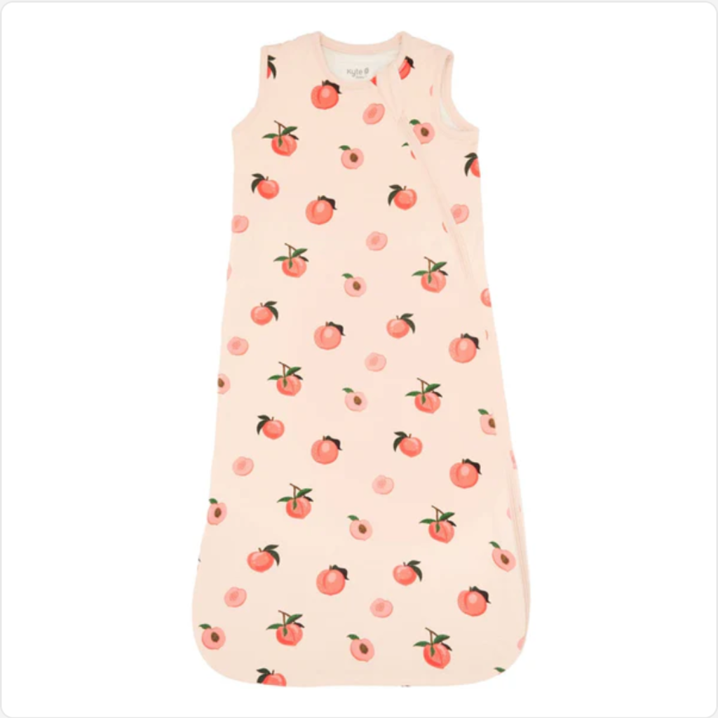Kyte Baby Sleep Bag 1.0