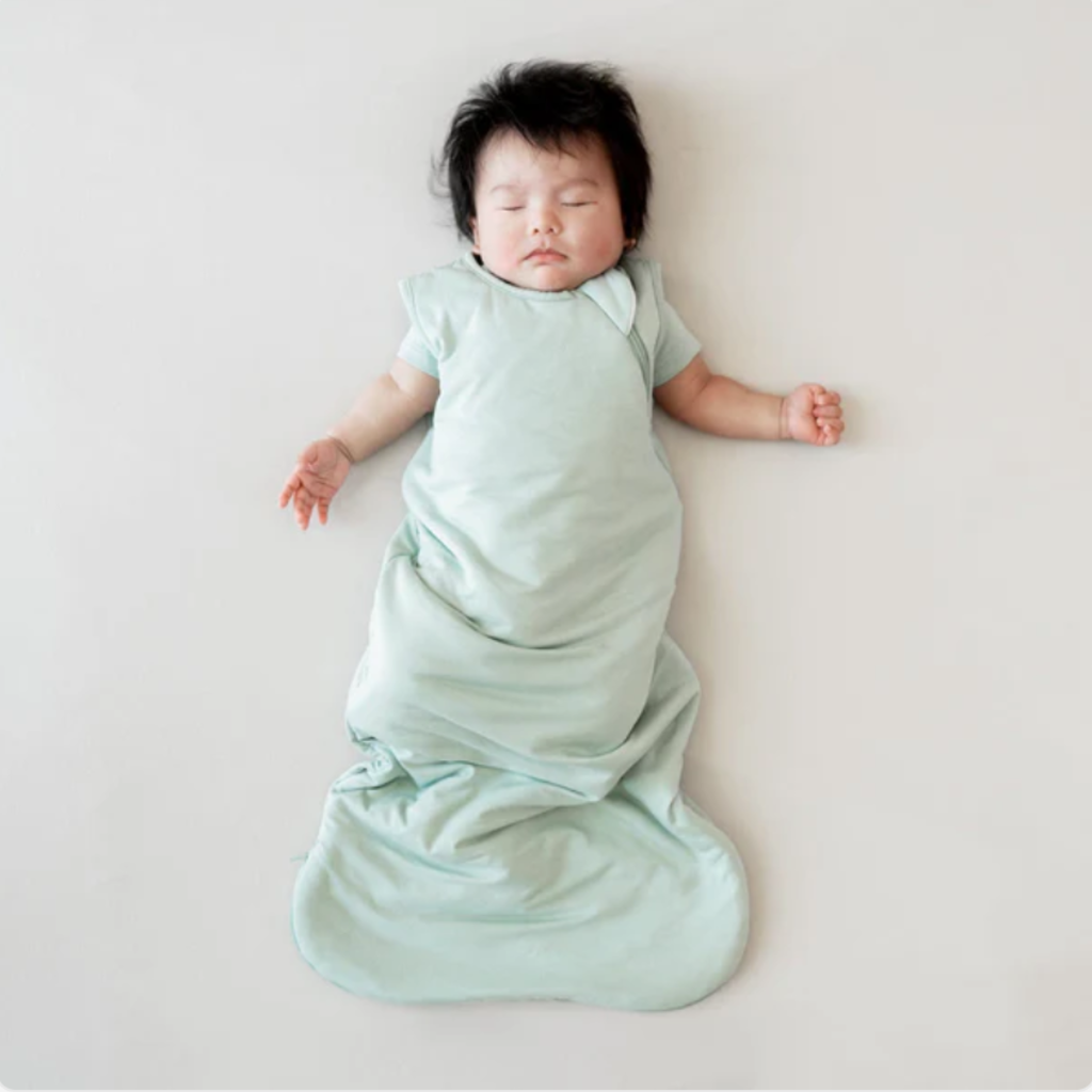 Kyte Baby Sleep Bag 1.0