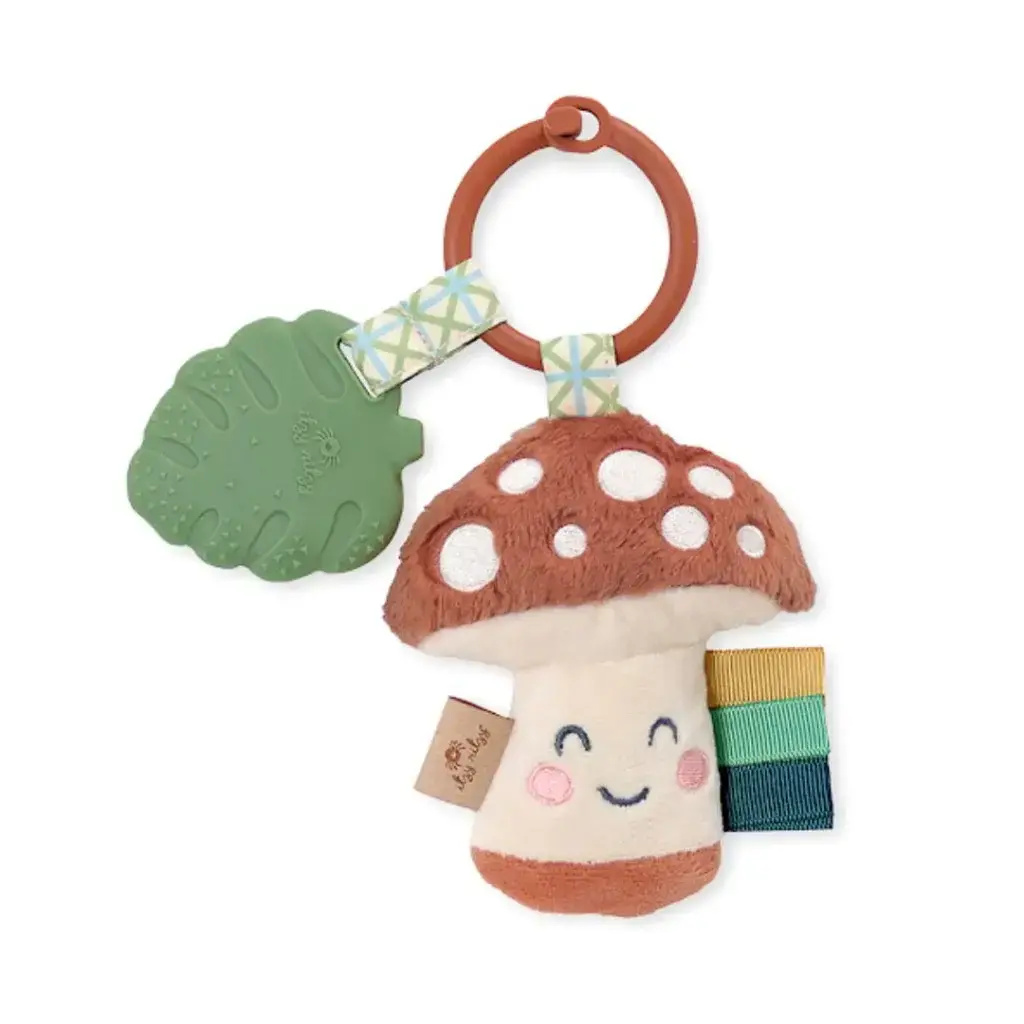 Itzy Ritzy Plush + Teether