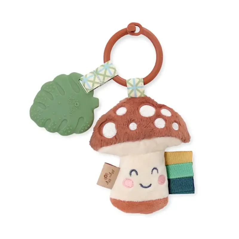 Itzy Ritzy Plush + Teether